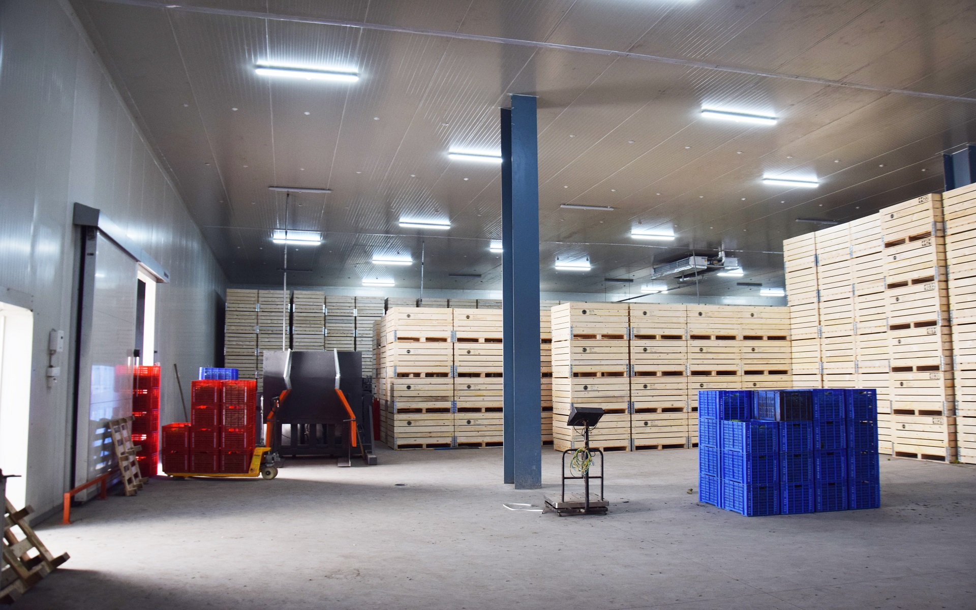 Sun & Sun Cold & Trade